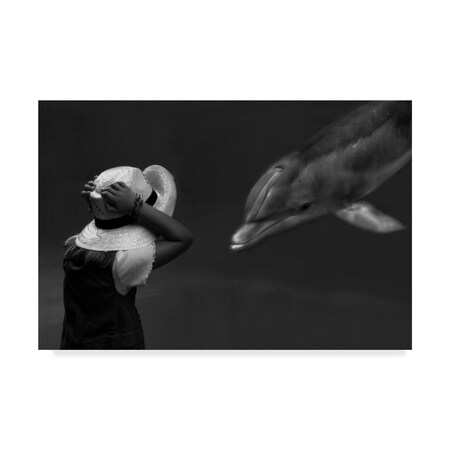 Trademark Fine Art